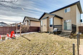 Photo 38: 255 Prairie Springs Crescent SW: Airdrie Detached for sale : MLS®# A2117101