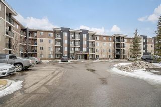 Photo 20: 121 7180 80 Avenue NE in Calgary: Saddle Ridge Apartment for sale : MLS®# A1184537