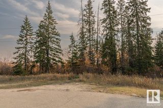 Photo 14: 6 51112 RGE RD 260: Rural Parkland County Vacant Lot/Land for sale : MLS®# E4316779