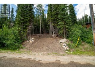 Photo 2: 145 COUGAR Road in Oliver: Vacant Land for sale : MLS®# 200537