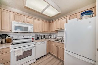 Photo 15: 88E 231 Heritage Drive SE in Calgary: Acadia Apartment for sale : MLS®# A2132710
