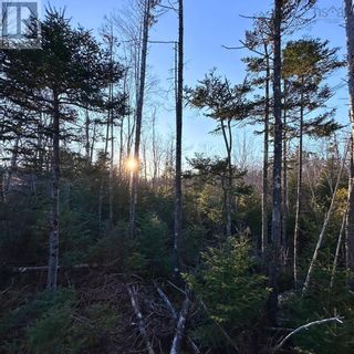 Photo 21: 18474 Highway 103 in Middlewood: Vacant Land for sale : MLS®# 202401030