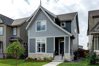 Photo 1: 317 Marquis Heights SE in Calgary: Mahogany Detached for sale : MLS®# A1229572