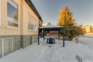Photo 38: 2 Panorama Hills Heights NW in Calgary: Panorama Hills Detached for sale : MLS®# A2011928