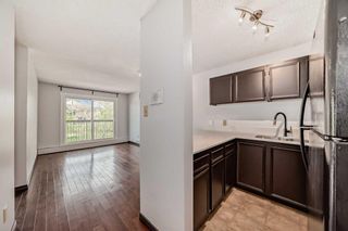Photo 3: 202 1613 11 Avenue SW in Calgary: Sunalta Apartment for sale : MLS®# A2128631