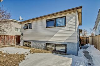 Photo 22: 35 Whitehaven Road NE in Calgary: Whitehorn Detached for sale : MLS®# A2034251