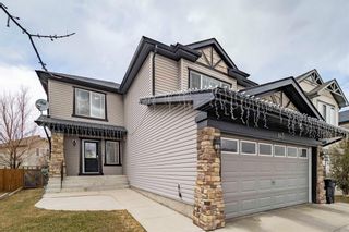 Photo 50: 145 Royal Birch Crescent NW in Calgary: Royal Oak Detached for sale : MLS®# A1205184