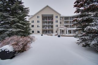 Photo 2: 205 305 1 Avenue NW: Airdrie Apartment for sale : MLS®# A2014061