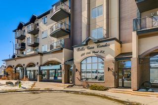 Main Photo: 420 1727 54 Street SE in Calgary: Penbrooke Meadows Apartment for sale : MLS®# A2034386