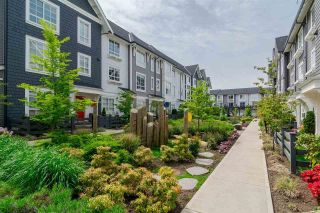 Photo 37: 7 8438 207A Street in Langley: Willoughby Heights Townhouse for sale in "YORK By: Mosaic" : MLS®# R2766210
