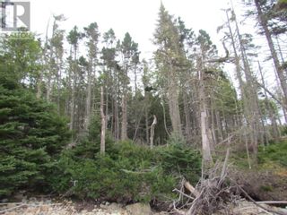 Photo 15: 25A 2 Atlantic Street in Blind Bay: Vacant Land for sale : MLS®# 202319501