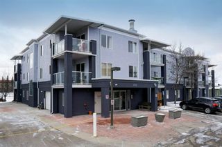 Photo 1: 3109 2280 68 Street NE in Calgary: Monterey Park Apartment for sale : MLS®# A1192029
