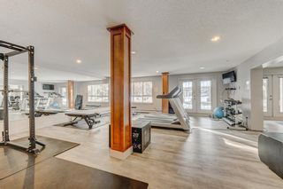 Photo 26: 254 35 Richard Court SW in Calgary: Lincoln Park Apartment for sale : MLS®# A2010748
