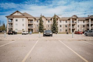 Main Photo: 1101 6635 25 Avenue NE in Calgary: Pineridge Apartment for sale : MLS®# A2129055