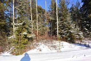 Photo 6: 4881 16 Highway in Smithers: Smithers - Town Land for sale (Smithers And Area)  : MLS®# R2659355