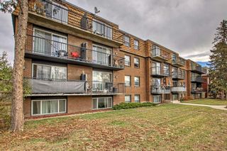 Photo 20: 203 510 58 Avenue SW in Calgary: Windsor Park Apartment for sale : MLS®# A2086438