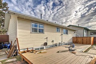 Photo 40: 1120 Penrith Crescent SE in Calgary: Penbrooke Meadows Detached for sale : MLS®# A2092966