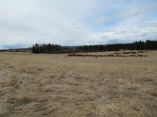 Photo 48: 33146 Range Road 62: Rural Mountain View County Detached for sale : MLS®# A1201666