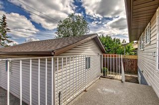 Photo 38: 1148 Falconridge Drive NE in Calgary: Falconridge Detached for sale : MLS®# A2054530