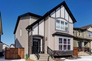 Photo 1: 460 Cranberry Circle SE in Calgary: Cranston Detached for sale : MLS®# A2033809
