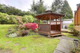 Photo 15: 4775 PORTLAND Street in Burnaby: South Slope House for sale (Burnaby South)  : MLS®# R2168499