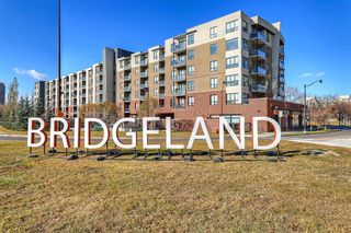 Photo 19: 412 6A Street NE in Calgary: Bridgeland/Riverside Semi Detached (Half Duplex) for sale : MLS®# A2002871