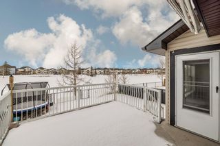 Photo 45: 15 Martha’s Way NE in Calgary: Martindale Detached for sale : MLS®# A1186356
