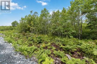 Photo 6: Lot 7 Maple Ridge Drive in White Point: Vacant Land for sale : MLS®# 202315168