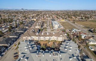 Photo 45: 2316 2600 66 Street NE in Calgary: Pineridge Apartment for sale : MLS®# A2122941