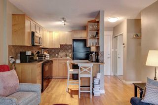 Photo 4: 302 835 18 Avenue SW in Calgary: Lower Mount Royal Apartment for sale : MLS®# A2082055