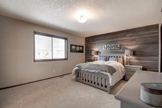 Photo 18: 270 Chapalina Terrace SE in Calgary: Chaparral Detached for sale : MLS®# A2021113