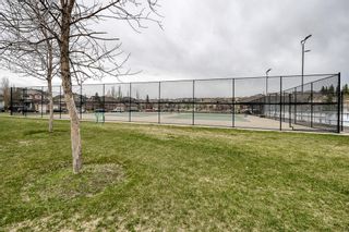Photo 40: 233 20 Discovery Ridge Close SW in Calgary: Discovery Ridge Apartment for sale : MLS®# A1217013