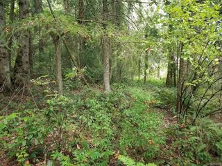 Photo 2: Lot 5 Inverness Rd in North Saanich: NS Ardmore Land for sale : MLS®# 853687