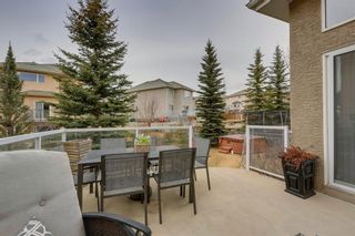 Photo 44: 70 ROYAL CREST Way NW in Calgary: Royal Oak Detached for sale : MLS®# C4237802