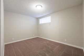Photo 28: 397 Cranberry Circle SE in Calgary: Cranston Detached for sale : MLS®# A1183683