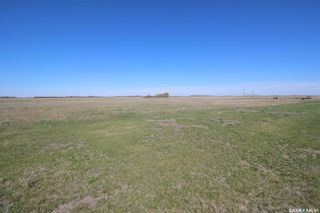 Photo 35: Hesterman Acreage in Dundurn: Residential for sale (Dundurn Rm No. 314)  : MLS®# SK904843