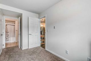 Photo 16: 4317 99 Copperstone Park SE in Calgary: Copperfield Apartment for sale : MLS®# A2069160