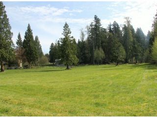 Photo 3: 21144 20 Avenue in Langley: Campbell Valley House for sale in "South Langley/Campbell Valley" : MLS®# F1409207