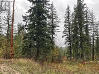 Photo 4: 40 Stoney Road in Mabel Lake: Vacant Land for sale : MLS®# 10288544