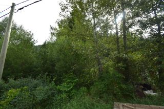 Photo 9: Lots 14-16 SECOND AVENUE in Ymir: Vacant Land for sale : MLS®# 2472383