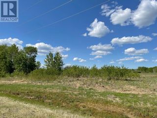 Photo 1: Portion SE 16-110-19 W5 in Rural Mackenzie County: Vacant Land for sale : MLS®# A1190914