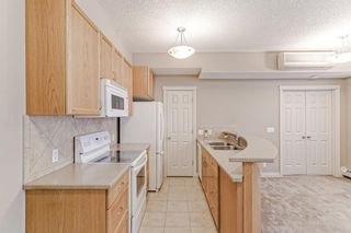 Photo 18: 523 950 Centre Avenue NE in Calgary: Bridgeland/Riverside Apartment for sale : MLS®# A2018931