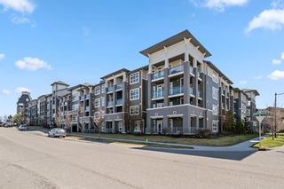 Main Photo: 233 25 Auburn Meadows Avenue SE in Calgary: Auburn Bay Apartment for sale : MLS®# A1216804