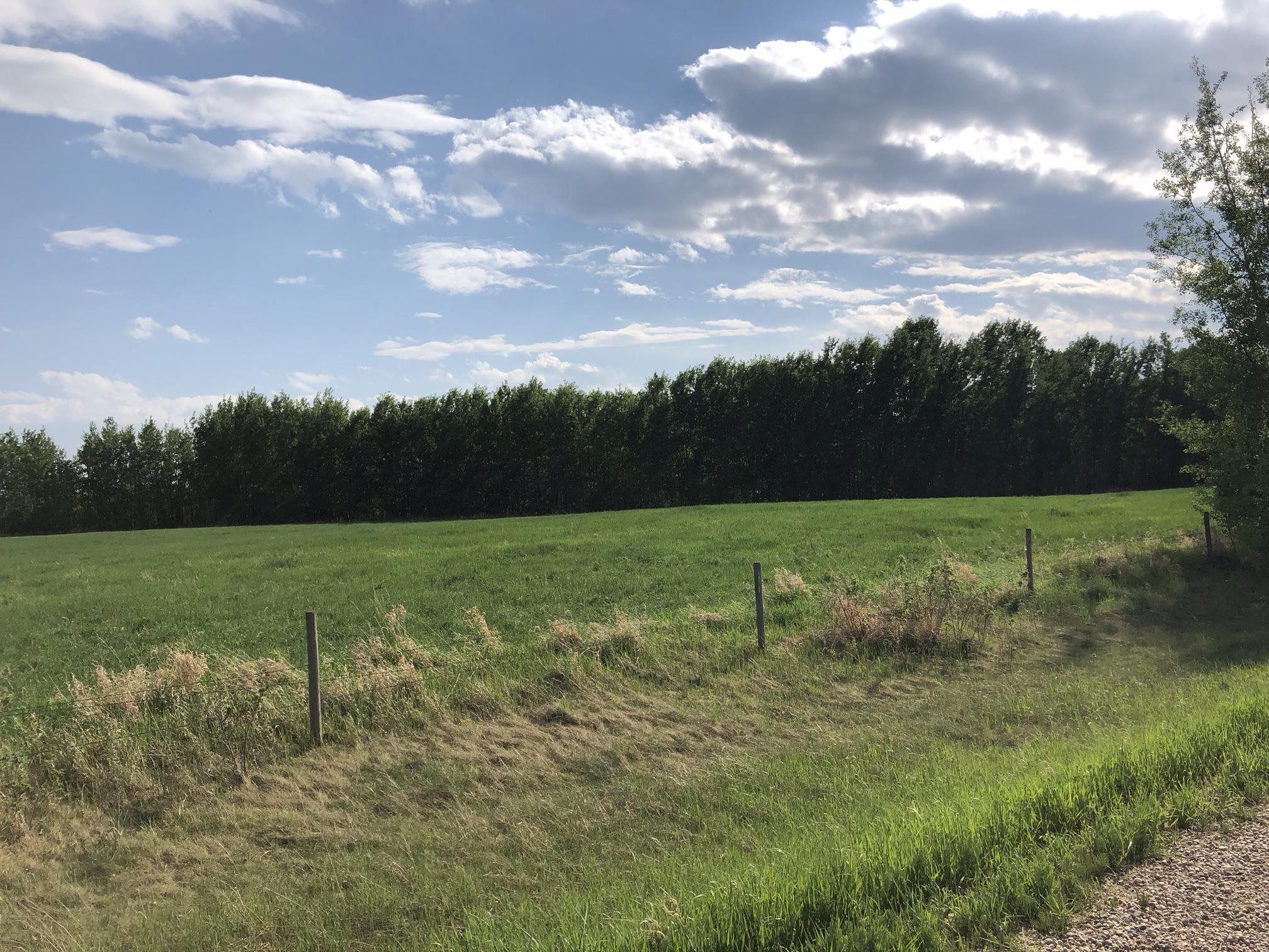 Main Photo: RR 15 Twp 502: Rural Leduc County Rural Land/Vacant Lot for sale : MLS®# E4270767