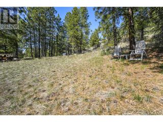 Photo 21: 222 Grizzly Place in Osoyoos: Vacant Land for sale : MLS®# 10310334