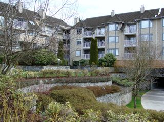 Photo 17: 509 1050 BOWRON Court in North Vancouver: Roche Point Condo for sale in "PARKWAY TERRACE" : MLS®# V879551