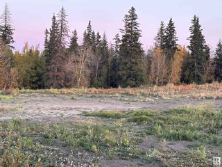 Photo 15: 26505 Meadowview Drive: Rural Sturgeon County Vacant Lot/Land for sale : MLS®# E4366205