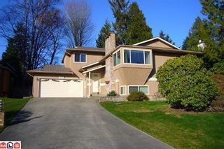 Photo 1: 13333 15B AV in Surrey: House for sale (Crescent Bch Ocean Pk.)  : MLS®# F1005381