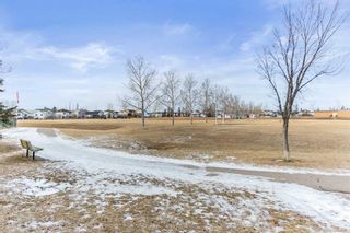 Photo 37: 16 Coverdale Road NE in Calgary: Coventry Hills Detached for sale : MLS®# A2100154