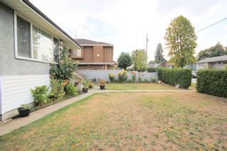 Photo 22: 6612 LINDEN Avenue in Burnaby: Highgate House for sale (Burnaby South)  : MLS®# R2815686